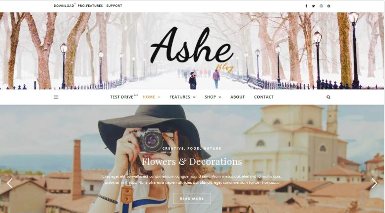 Ashe: inwebmastro.com 12 Best WordPress Blog Themes Designs For Blogs
