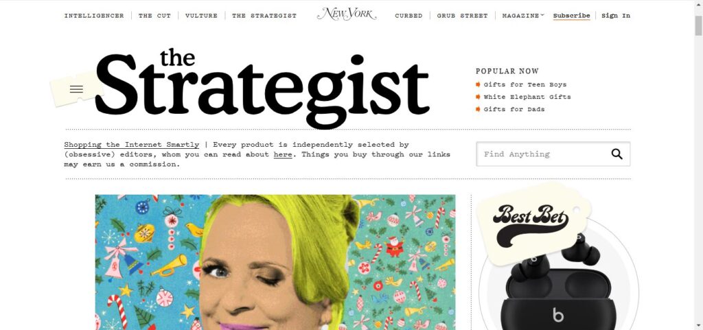 The Strategist: https://inwebmastro.com/examples-of-product-review-blogss/