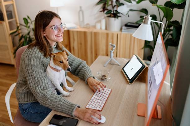 how to become a freelancer